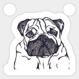 Pug Dog Sticker